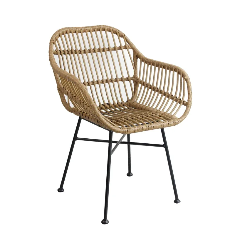 Nordic Dining Chairs for Kitch - đánh giá và giá Outdoor Furniture Iron